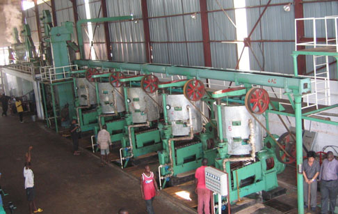 30噸/天棕櫚油生產(chǎn)線在剛果成功安裝