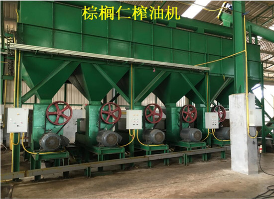 5噸/天棕櫚仁壓榨生產(chǎn)線視頻