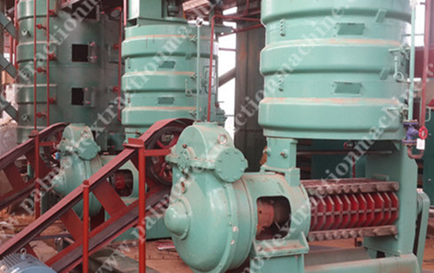 尼日利亞60噸/天棕櫚仁和大豆生產(chǎn)項目將要竣工