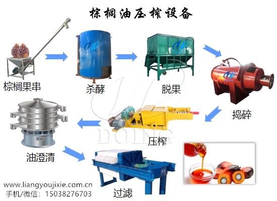 棕櫚油壓榨設(shè)備