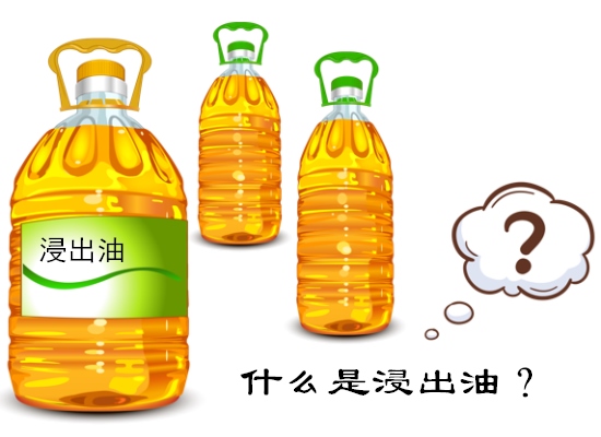 什么是浸出油？