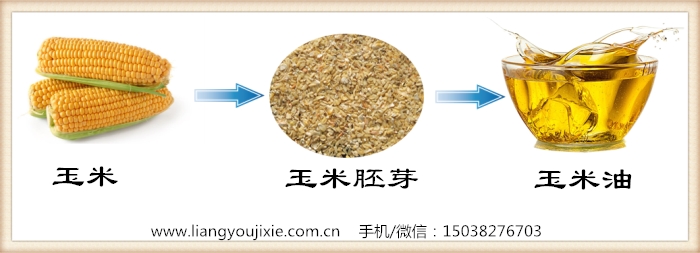 玉米油生產工藝流程