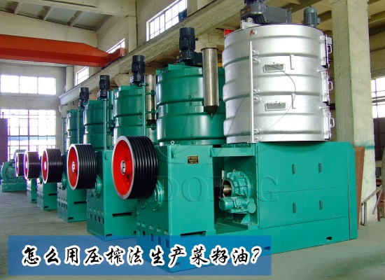 怎么用壓榨法生產菜籽油？