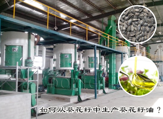 如何從葵花籽中生產(chǎn)葵花籽油？葵花籽油的生產(chǎn)方式有哪些？