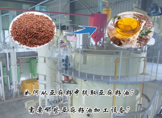 如何從亞麻籽中提取亞麻籽油？需要哪些亞麻籽油加工設(shè)備？