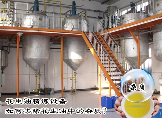 花生油精煉設(shè)備如何去除花生油中的雜質(zhì)?
