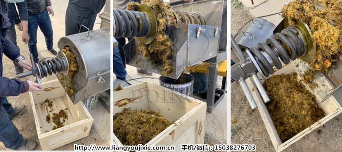 小型棕櫚果榨油機(jī)