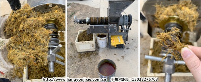 小型棕櫚果榨油機(jī)