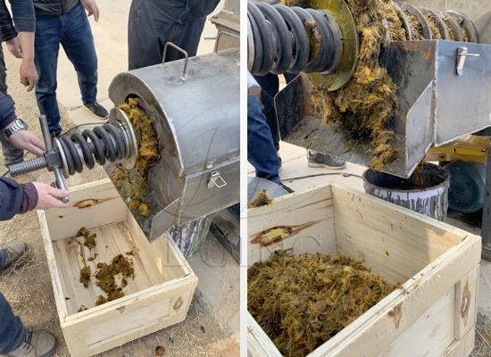 小型棕櫚果榨油機(jī)試機(jī)視頻