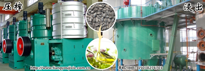 葵花籽油生產(chǎn)