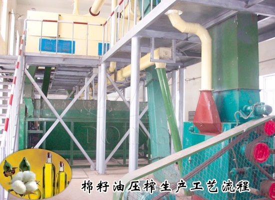 棉籽油壓榨生產(chǎn)工藝流程是什么？需要哪些棉籽油加工設備？