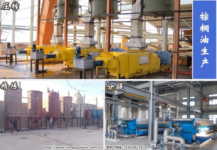 棕櫚油生產(chǎn)設(shè)備