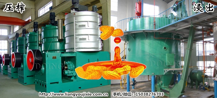 花生油生產(chǎn)工藝