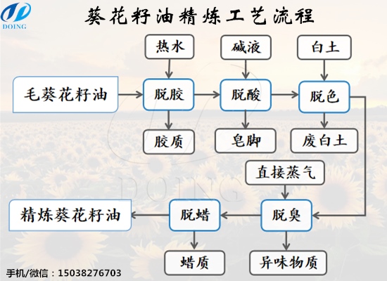 怎么精煉葵花籽油？葵花籽油精煉工藝流程是什么？