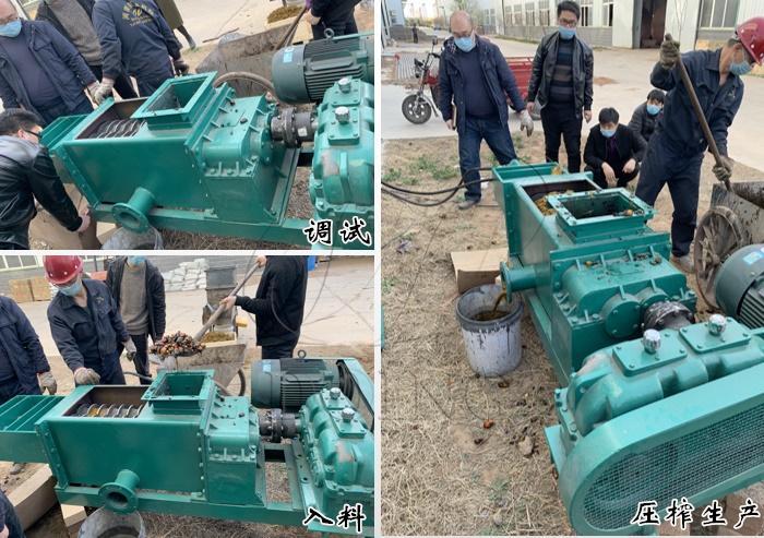 棕櫚油榨油機(jī)