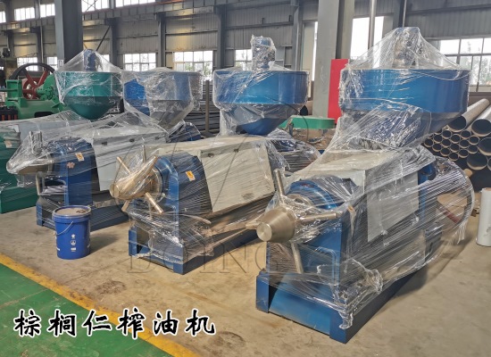 500千克/小時(shí)棕櫚仁榨油機(jī)