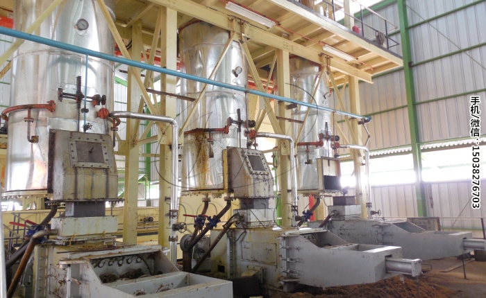 棕櫚油壓榨設備