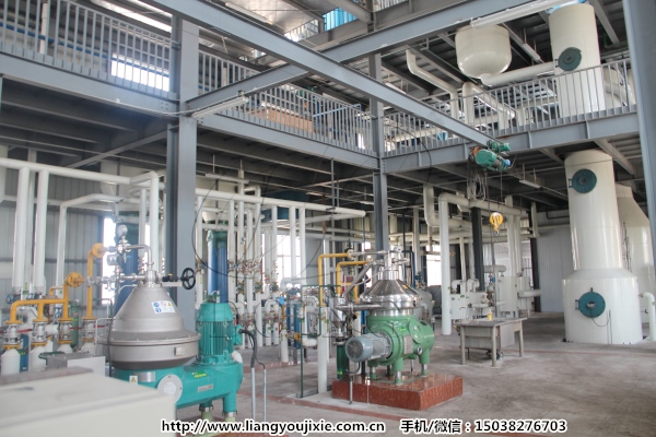 棕櫚仁油精煉設(shè)備