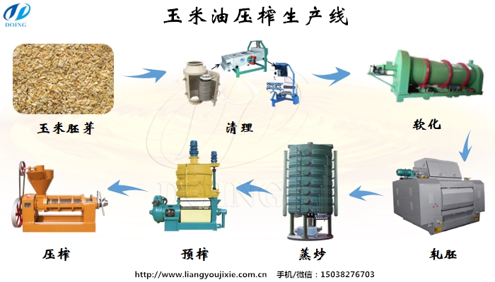 玉米油壓榨生產(chǎn)線