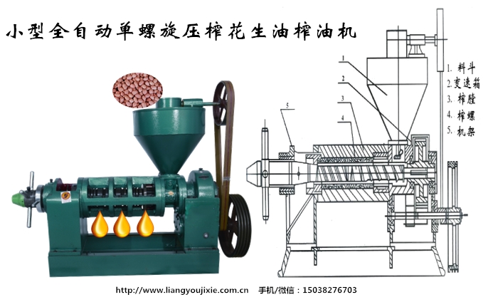 花生榨油機(jī)