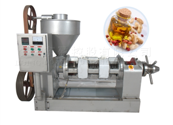 小型自動溫控花生榨油機(jī)