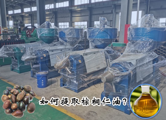 如何提取棕櫚仁油？需要哪些棕櫚仁油生產(chǎn)設(shè)備？