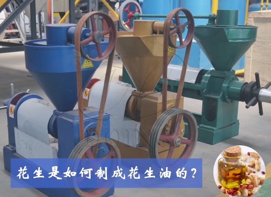 花生是如何制成花生油的？花生油生產(chǎn)制作工藝有幾種？