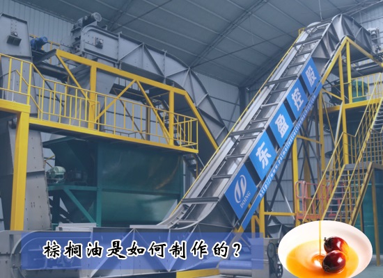 棕櫚油是如何制作的？需要用什么棕櫚油生產(chǎn)設(shè)備？