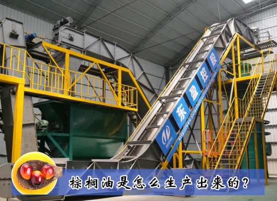 棕櫚油是怎么生產(chǎn)出來的？生產(chǎn)過程主要包括幾個(gè)步驟？