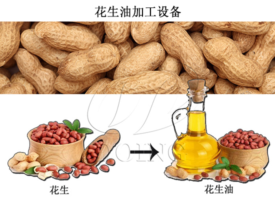 自己榨的花生油好嗎？