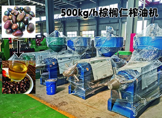 加納客戶500kg/h棕櫚仁榨油機(jī)順利投產(chǎn)！