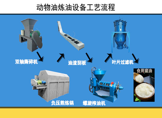 怎樣提煉動(dòng)物油？提煉的動(dòng)物油有什么用？