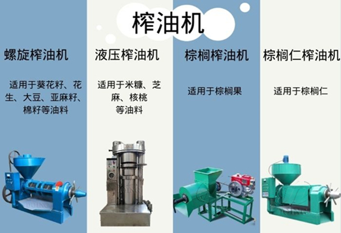 棕櫚仁油有專用榨油機(jī)