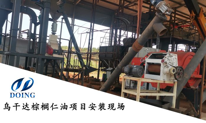 棕櫚仁油加工設(shè)備