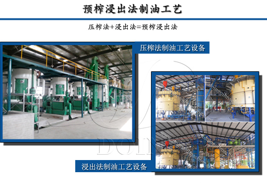 預榨和浸出對比