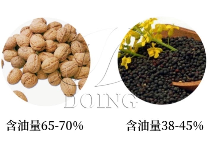 核桃和菜籽含油量.jpg