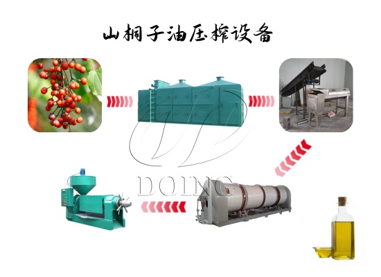 山桐子油壓榨設(shè)備