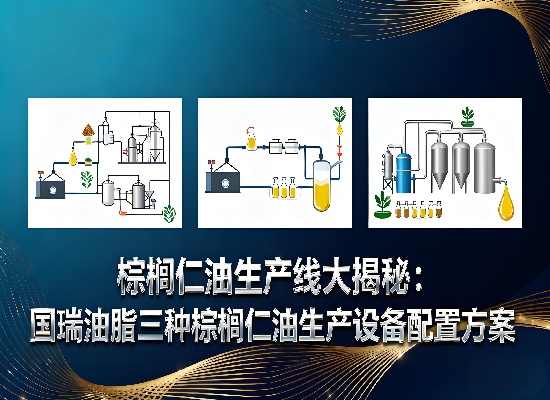 棕櫚仁油生產(chǎn)線大揭秘：國瑞油脂三種棕櫚仁油生產(chǎn)設(shè)備配置方案