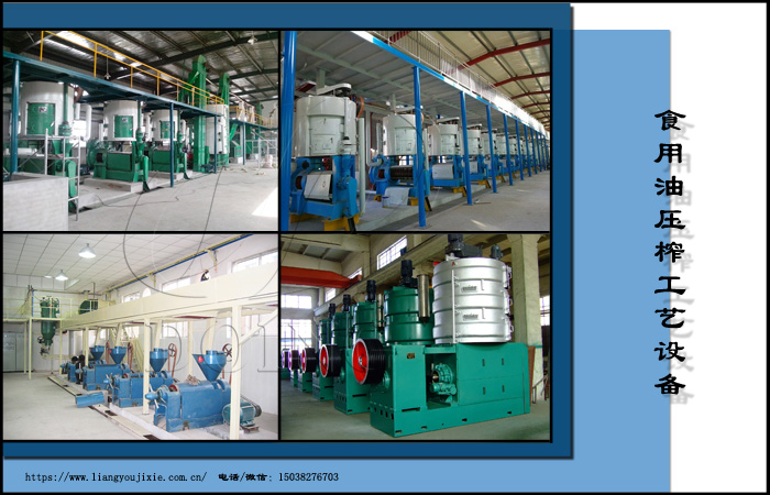 食用油壓榨工藝設備