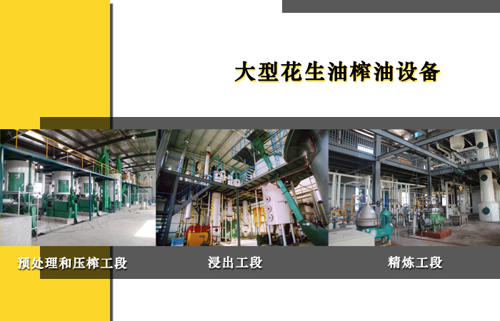 花生油榨油設(shè)備